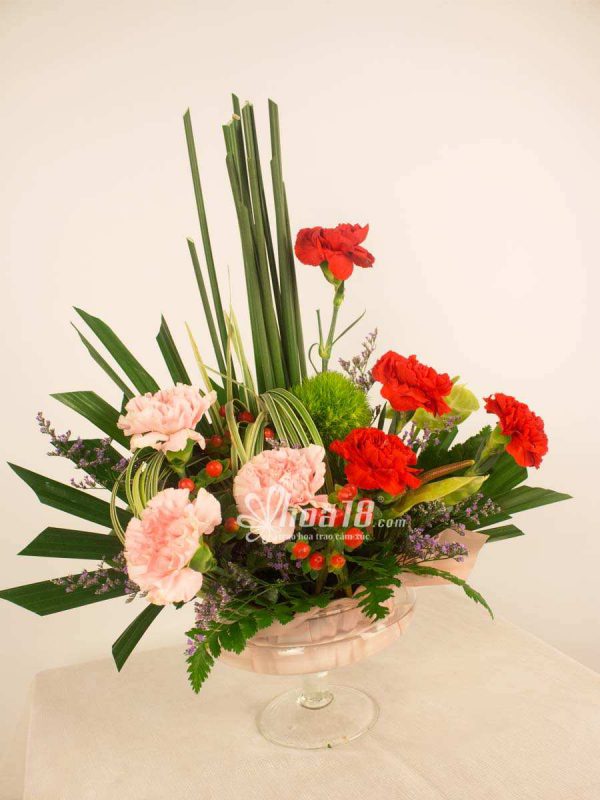 Bí quyết giữ hoa cẩm chướng tươi lâu nhất - Hoa18.com
