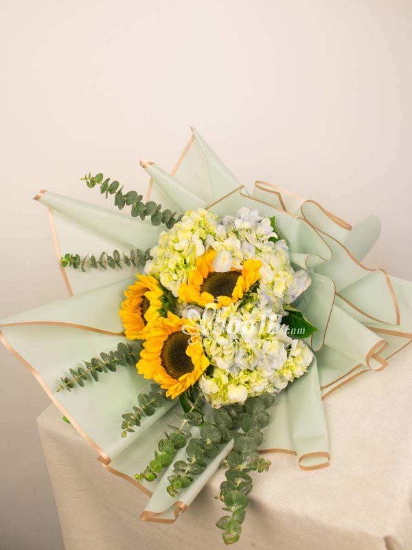 Tổng quan về loài hoa cẩm tú cầu - Hoa18.com