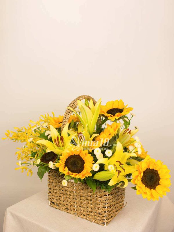Những giỏ hoa phong lan đẹp nhất - Hoa18.com