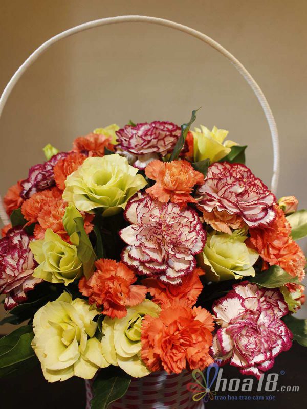 Truy tìm những vẻ đẹp mới từ hoa tươi tại Đồng Nai - Hoa18.com